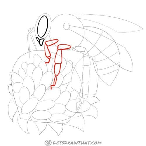 Drawing step: Outline the front legs