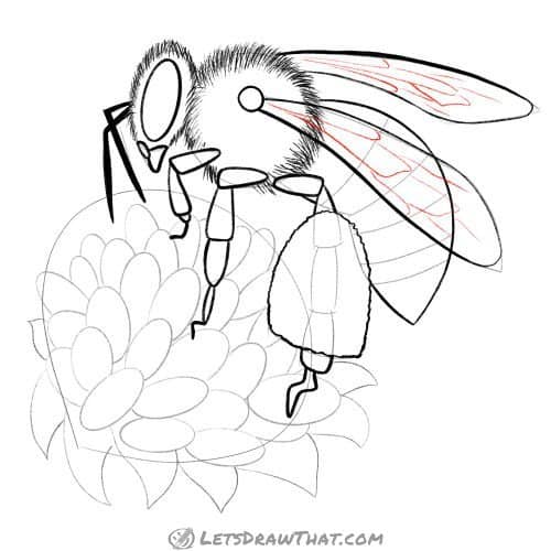 Drawing step: Draw the wing pattern 