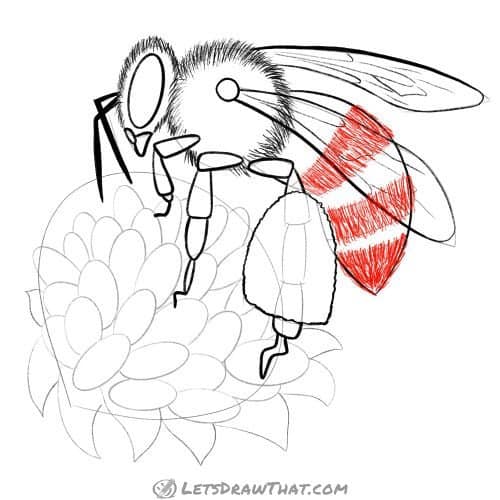 Drawing step: Hatch the black stripes on the bee's body