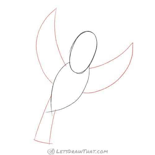 Drawing step: Sketch the bird's wings and tail