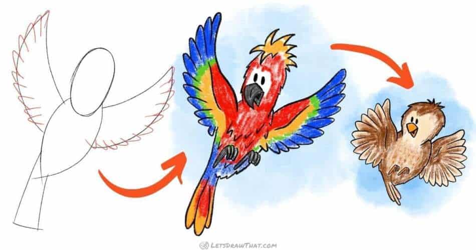 Download Lovebird Parrot Easy Drawing Picture | Wallpapers.com-saigonsouth.com.vn