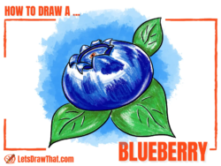 How to Draw a Blueberry – Easy Blueberry Drawing - step-by-step-drawing tutorial featured image