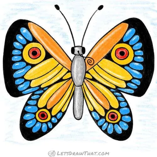 How to draw a butterfly wing patterns: finished drawing coloured-in