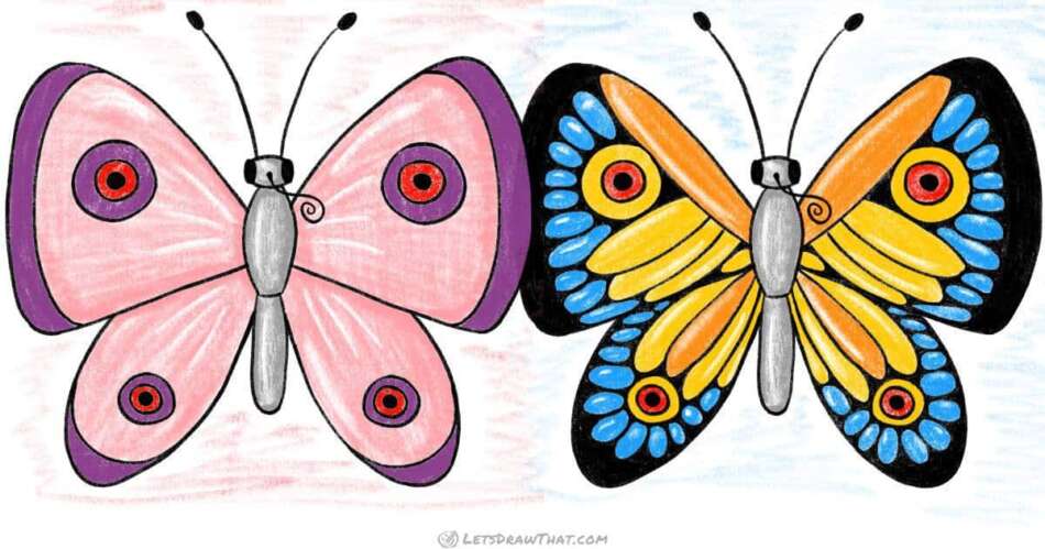 How to Draw a Butterfly: Easy Beautiful Butterfly Drawing (Step-by-Step) - step-by-step-drawing tutorial featured image