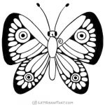 How to draw a butterfly wing patterns: finished outline drawing