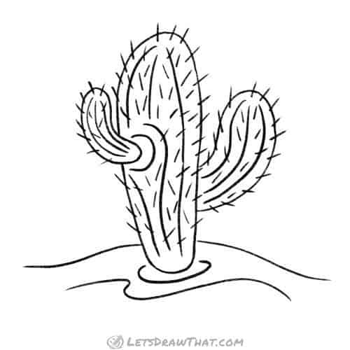 How to draw a cactus: finished outline drawing