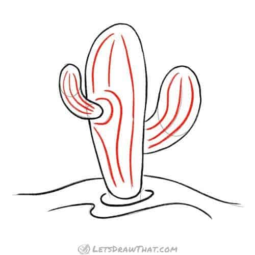 Drawing step: Draw the fold lines on the cactus body