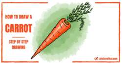 How to Draw a Carrot – An Easy Realistic Carrot Drawing - step-by-step-drawing tutorial featured image