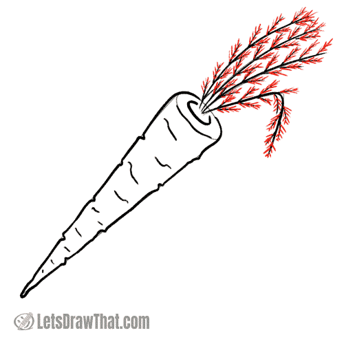 Drawing step: Draw the tiny textured carrot leaves