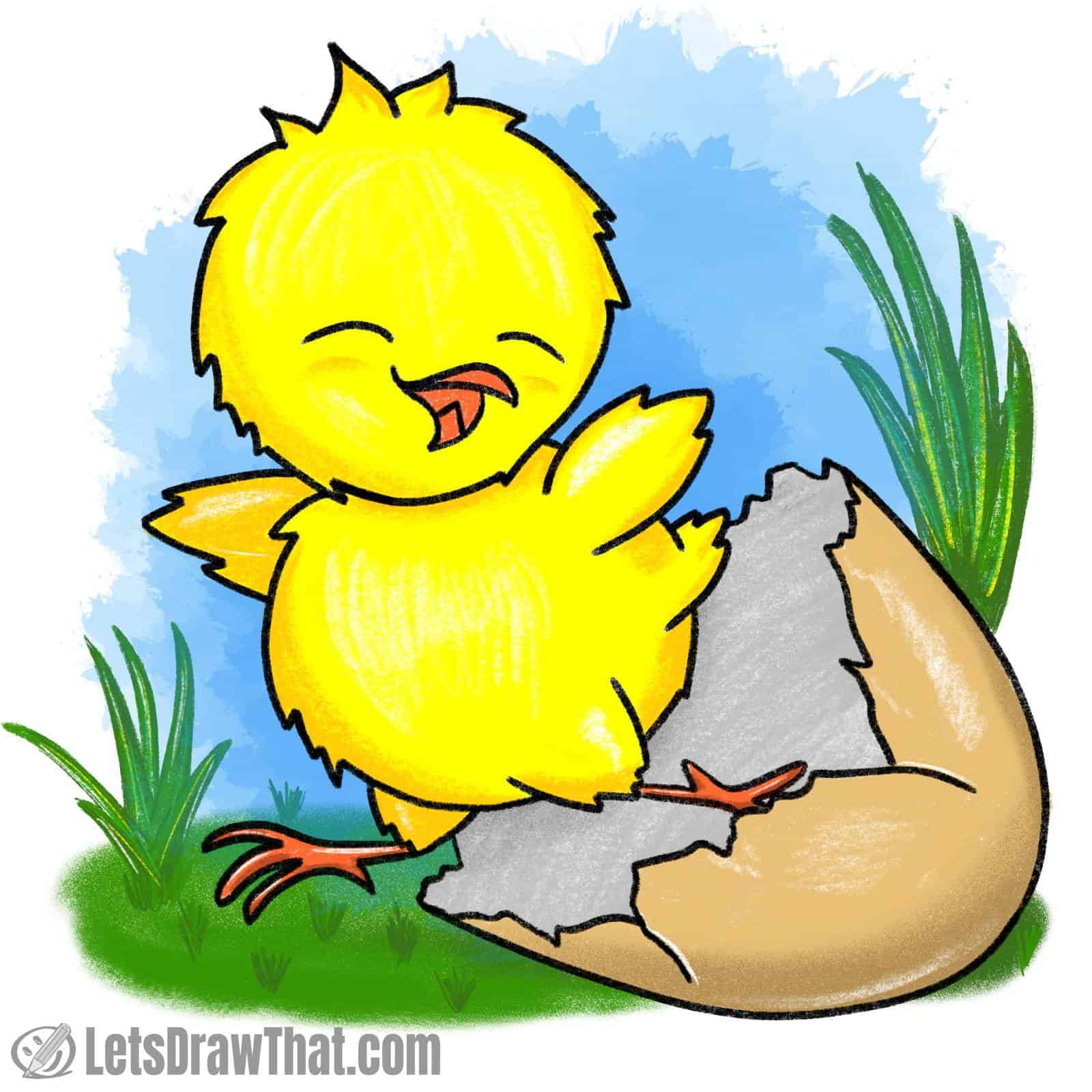 How to draw a chick: finished drawing coloured-in