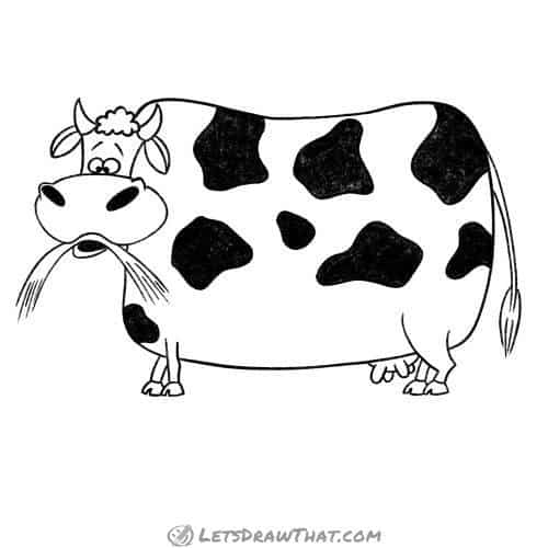 How to draw a cow: finished outline drawing