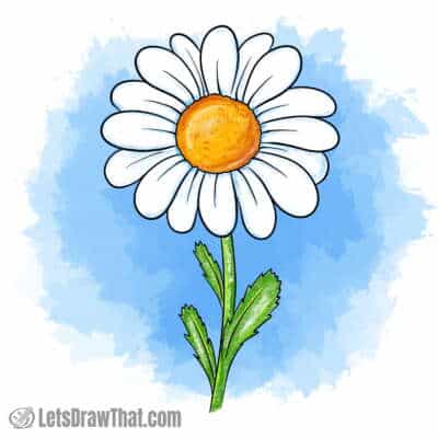 Daisy drawing colored-in