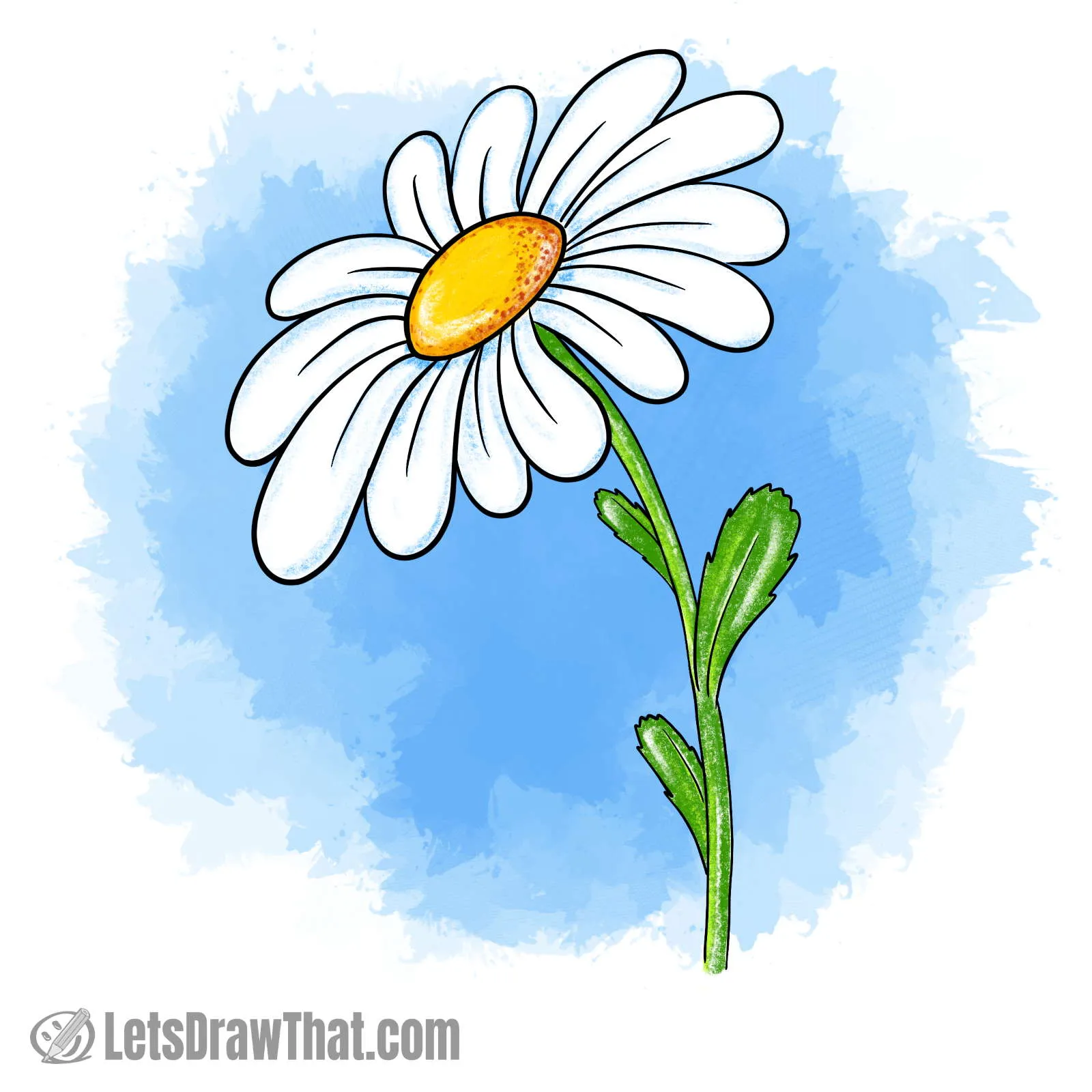 Daisy flower drawing colored-in