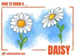How to Draw a Daisy From Easy Simple Shapes - step-by-step-drawing tutorial featured image