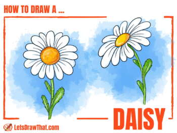 How to Draw a Daisy From Easy Simple Shapes - step-by-step-drawing tutorial featured image
