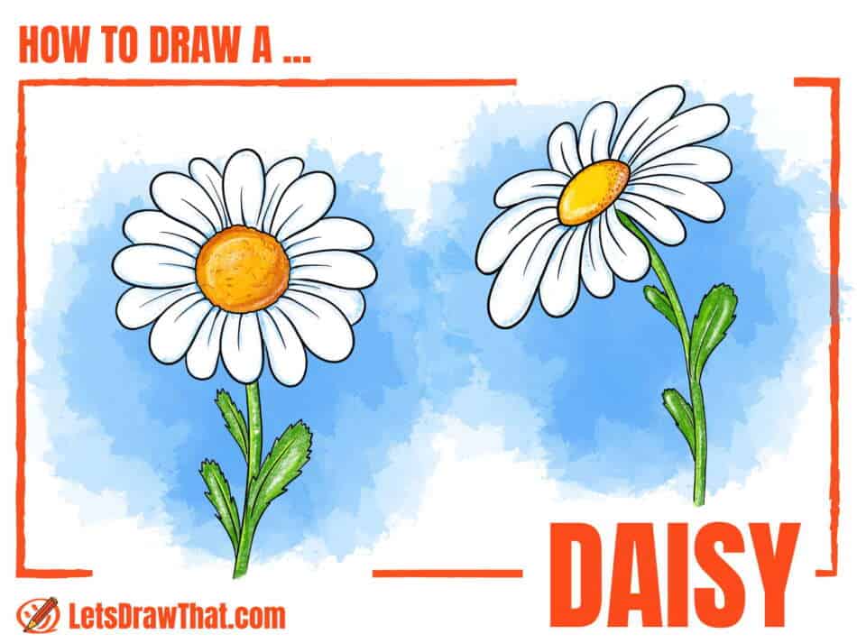 How to Draw a Daisy From Easy Simple Shapes - step-by-step-drawing tutorial featured image