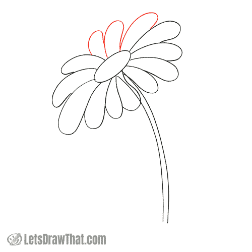 Drawing step: Finish the daisy flower