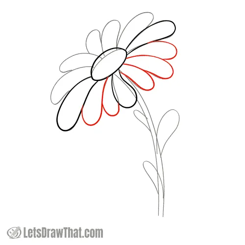Drawing step: Draw the remaining petals on the lower half