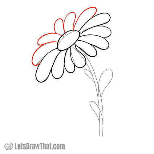 Drawing step: Finish drawing the daisy flower petals
