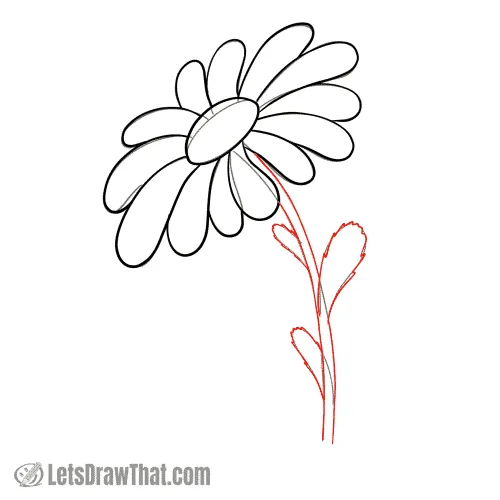 Drawing step: Draw the stem and leaves