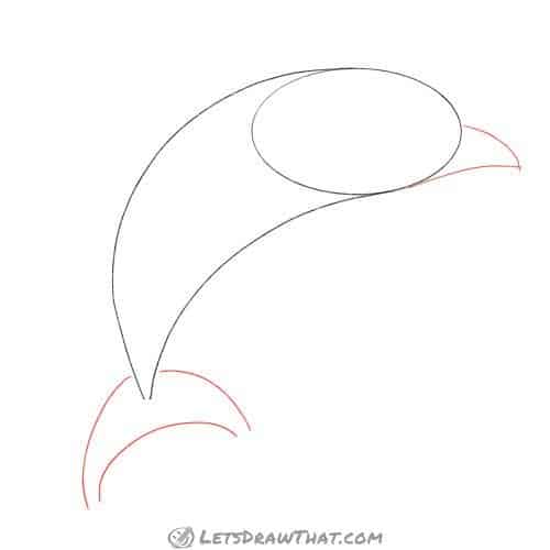 Drawing step: Sketch the dolphin's tail and nose