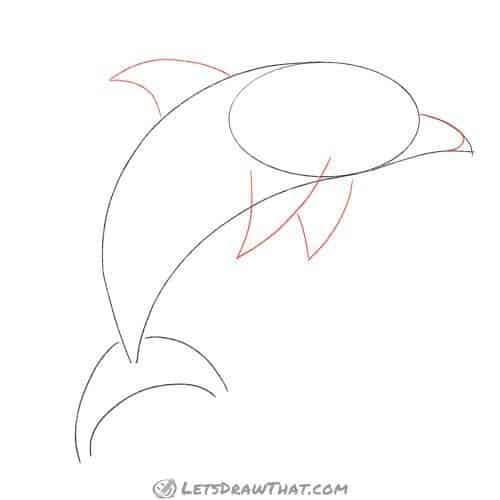 Drawing step: Draw the dolphin's fins