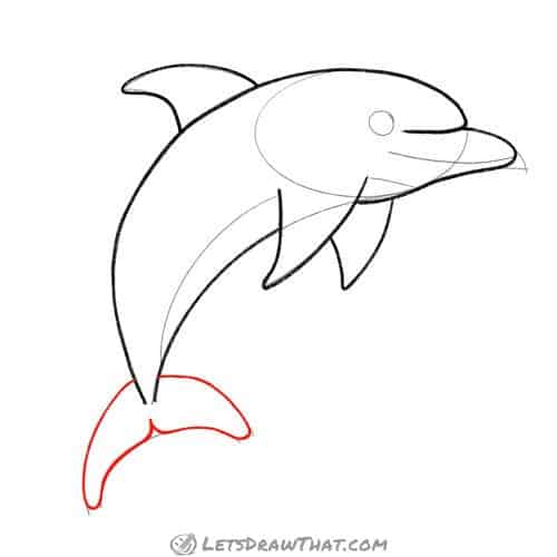 Drawing step: Draw the dolphin's tail 