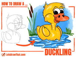 How to Draw a Duckling – A Cute Duckling Drawing - step-by-step-drawing tutorial featured image