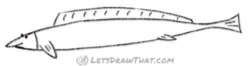 How to draw a different fish: finished outline drawing