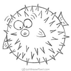 How to draw a fish from circles: finished outline drawing