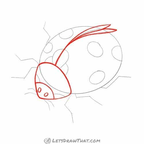 Drawing step: Draw the ladybug's head and wings