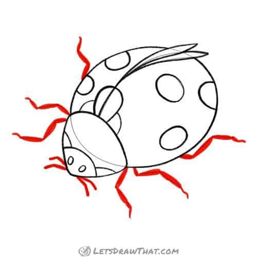 Drawing step: Draw the ladybug's legs