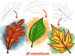 How to draw leaves: 3 easy fall leaf drawings - step-by-step-drawing tutorial featured image