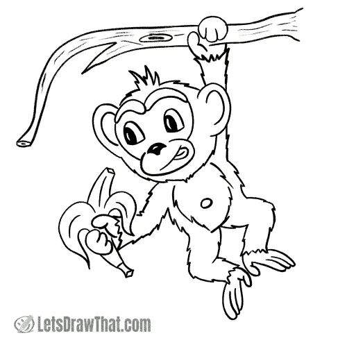 How to draw a monkey: finished outline drawing