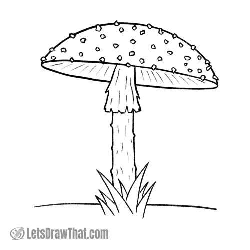 How to draw a mushroom: finished fly agaric outline drawing