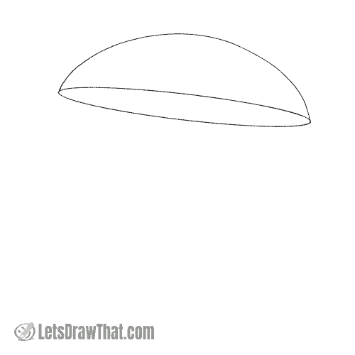 Drawing step: Draw the mushroom cap