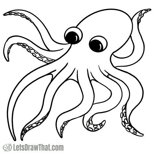 How to draw an octopus: finished outline drawing