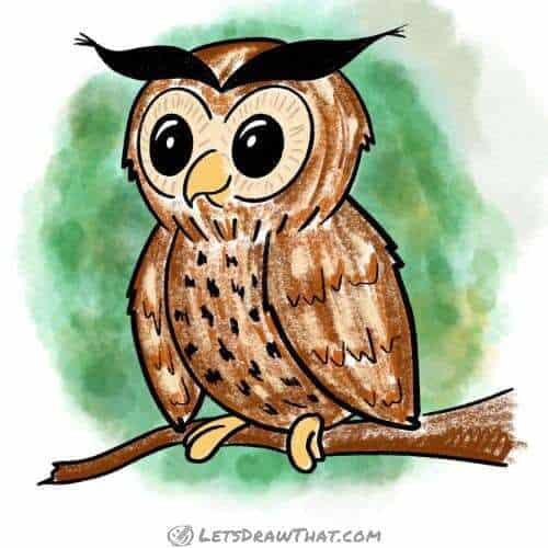 How to draw an owl: finished drawing coloured-in