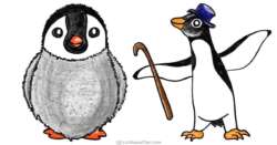 How to Draw a Penguin – Young Chick and an Adult - step-by-step-drawing tutorial featured image