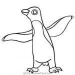 How to draw an adult penguin: finished outline drawing