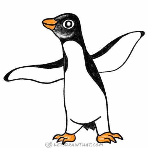 How to draw an adult penguin: finished drawing coloured-in