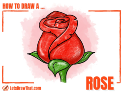 How to Draw a Rose: Easy Step-by-step Rose Drawing - step-by-step-drawing tutorial featured image