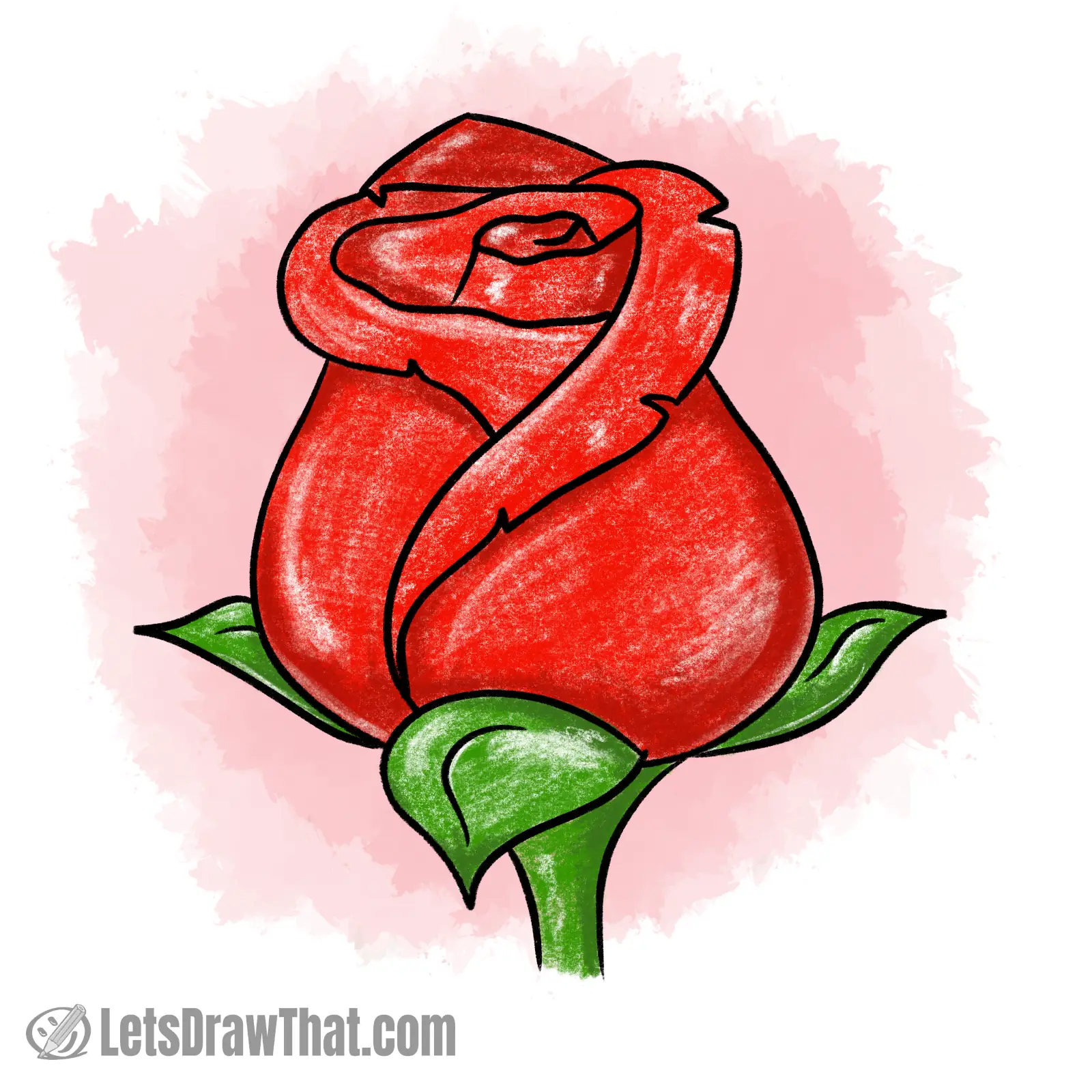 How to draw a rose: finished drawing colored-in