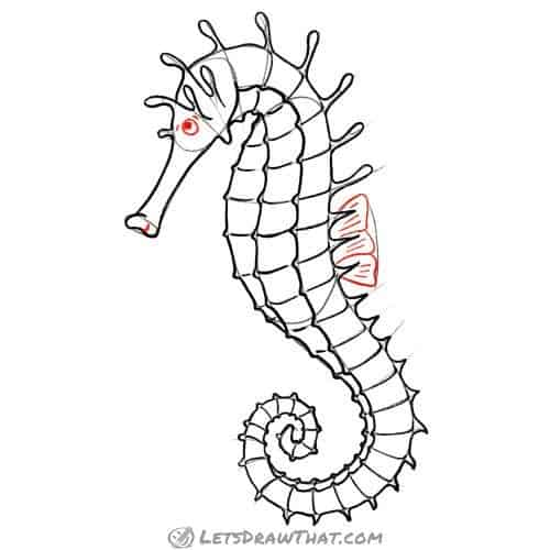 Drawing step: Add the details to complete the seahorse