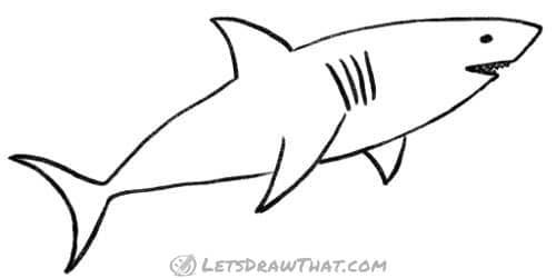 How to draw a shark from the basic fish shape: finished outline drawing
