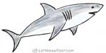 How to draw a shark from the basic fish shape: finished drawing coloured-in