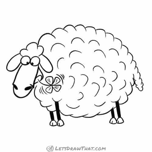 How to draw a sheep: finished outline drawing