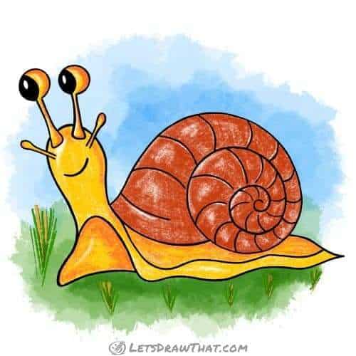 How to draw a snail: finished drawing coloured-in