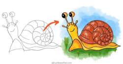 How To Draw A Snail: A Really Cute Snail Drawing - step-by-step-drawing tutorial featured image