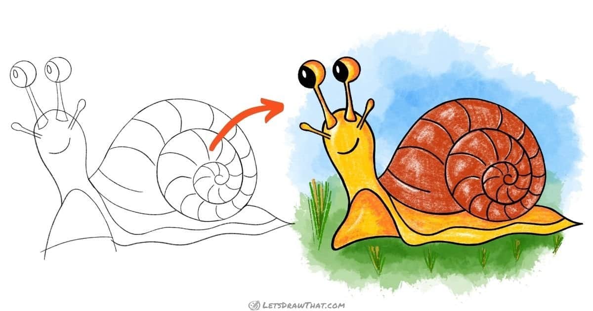 How To Draw A Snail: A Really Cute Snail Drawing - step-by-step-drawing tutorial featured image